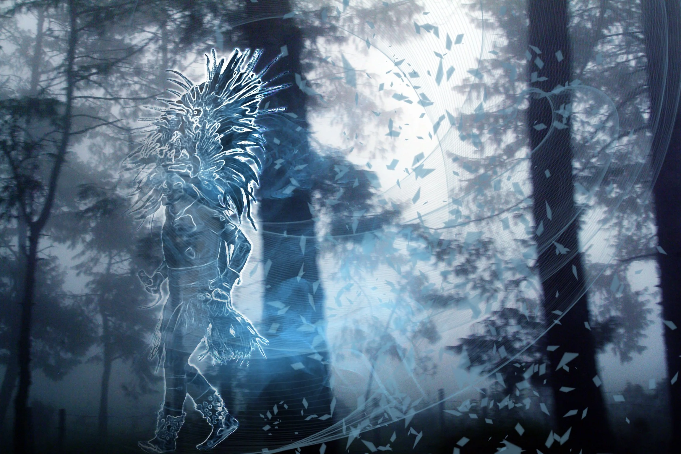 We are the forest.jpg