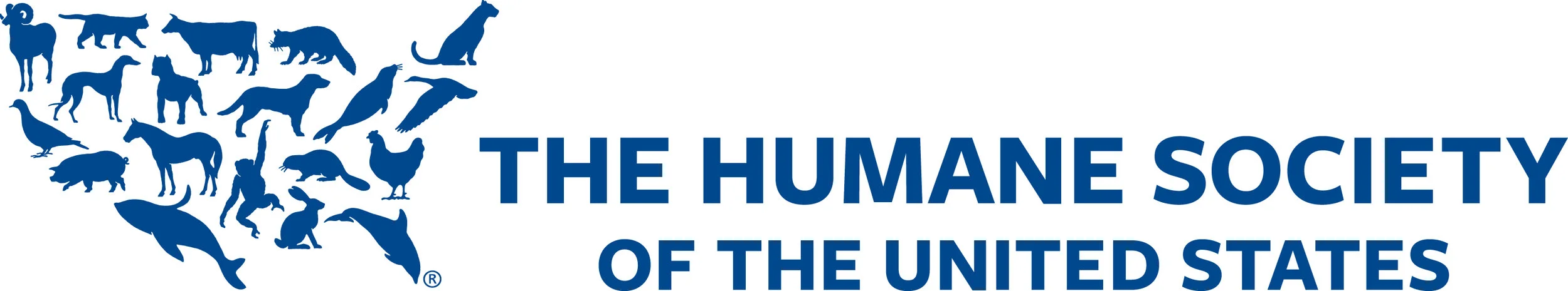 The Humane Society of the United States and our affiliates provide direct care to more than 100,000 animals each year—more than any other animal welfare organization—through our sanctuaries, veterinary programs and emergency shelters and rescues. We work to professionalize the field of animal care with our education and training programs.