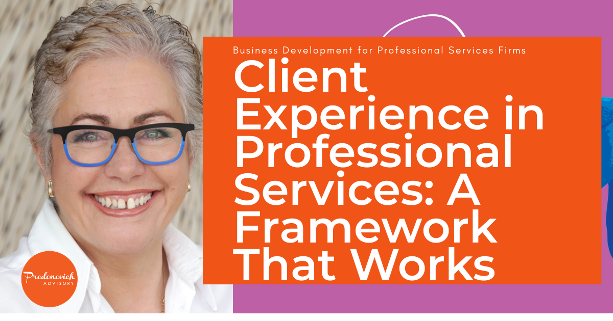 Client Experience in Professional Services: A Framework That Works