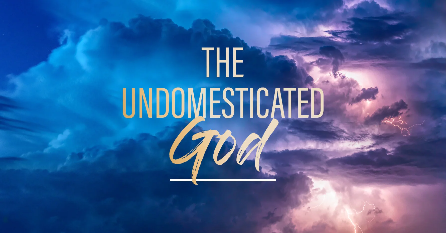 Undomesticated-God-Web.jpg