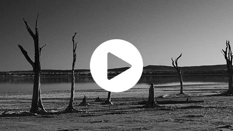 Trusting God in an Evil World: Look