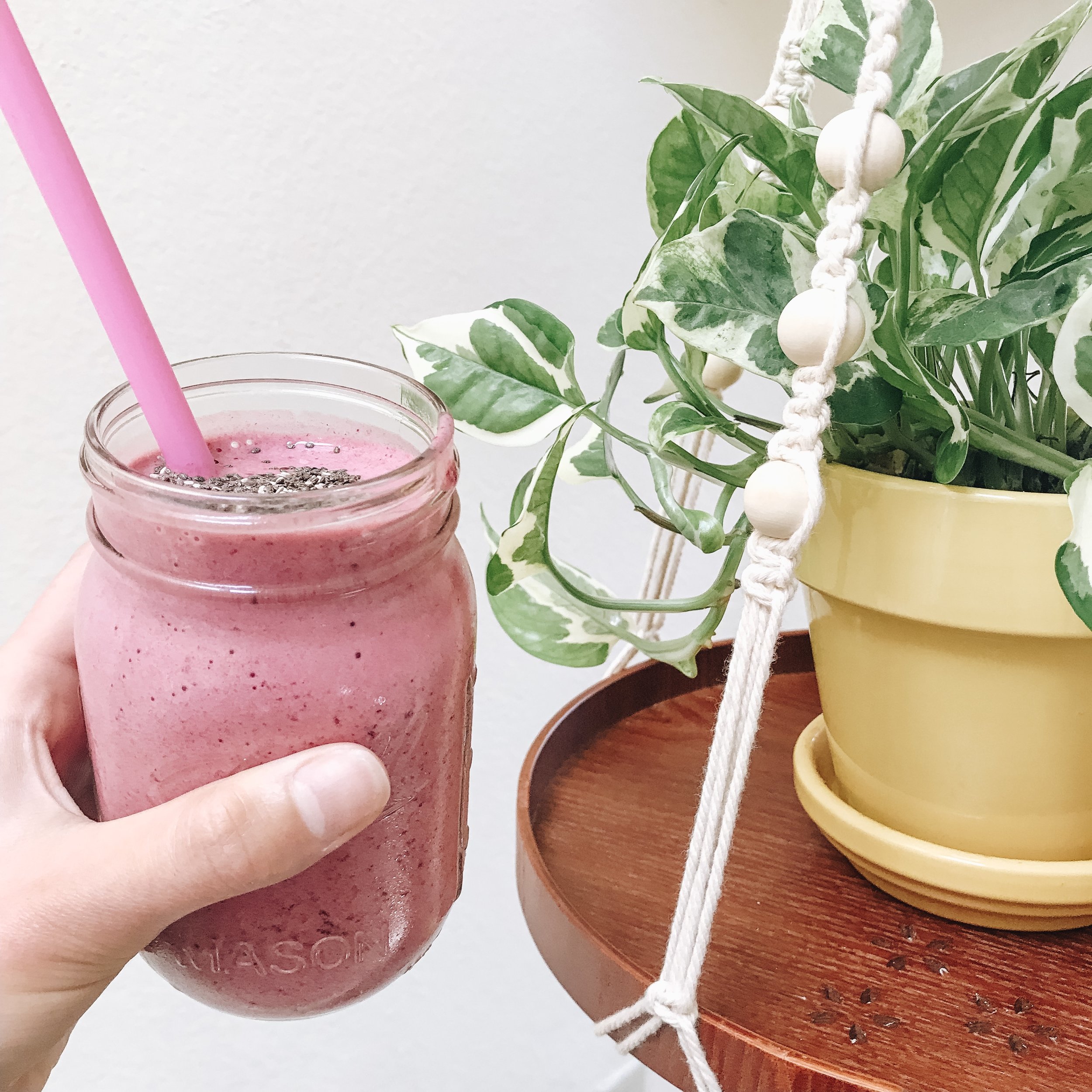 Berry Blaster Smoothie — CARO WARRIOR