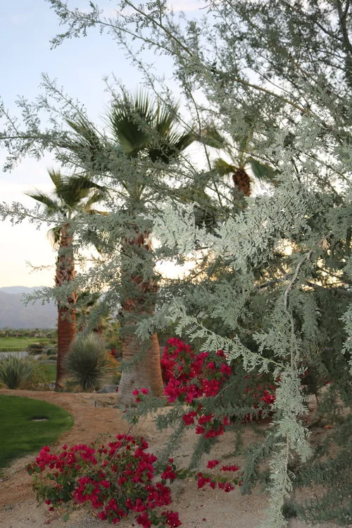 Here's to their gorgeous view and refusing to accept the status quo.