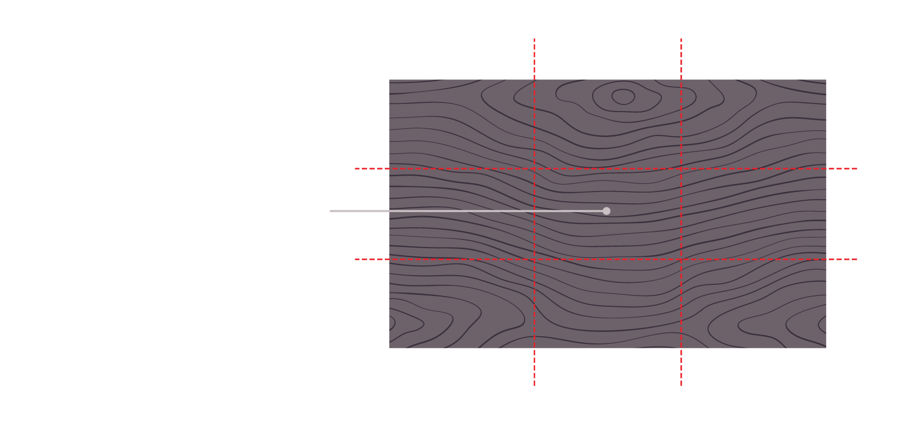 HyneTimber_MillTour_CentreNinth_01lo.png