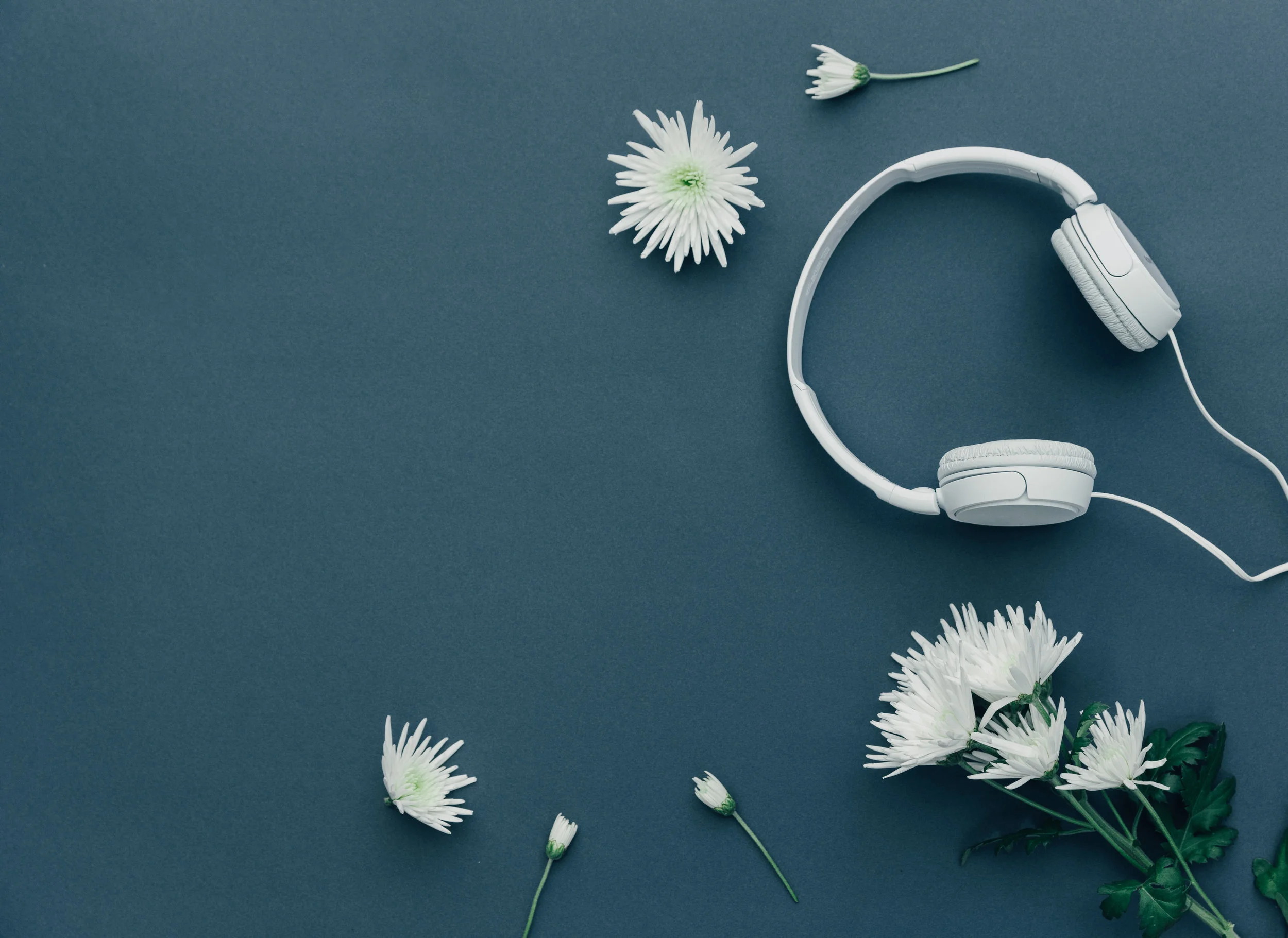 Blue Flatlay.jpg