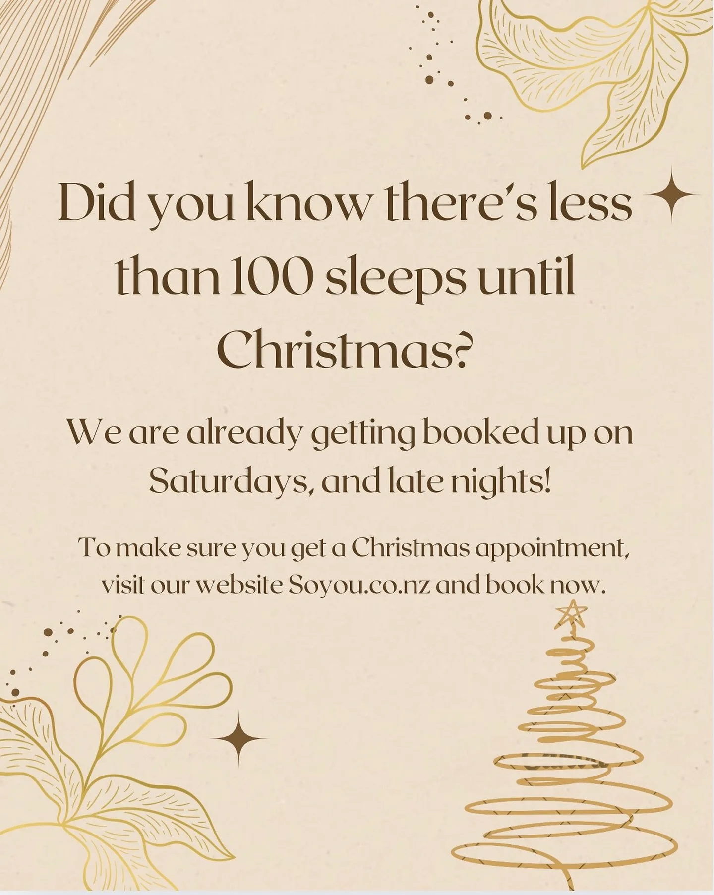 ✨ Can you believe it&rsquo;s less than 100 sleeps until Christmas? 🎄✨ 
Our Saturdays and late nights are already filling fast, so don&rsquo;t miss out! Secure your Christmas appointment today at soyou.co.nz 💻💇&zwj;♀️ 

#ChristmasCountdown #BookNow