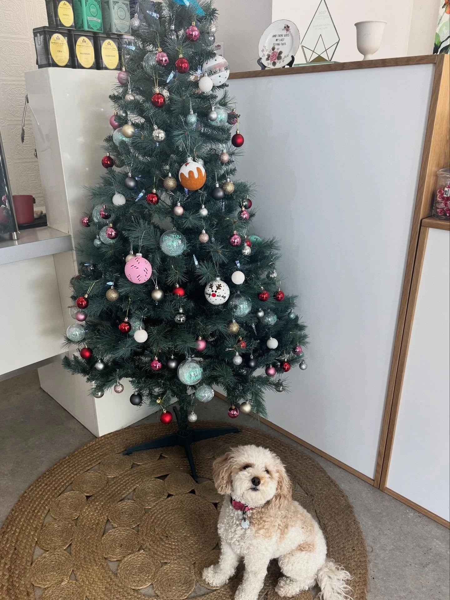 Christmas is coming so if you haven&rsquo;t booked your December refresh, please check out our very limited remaining availability 🎄

If you cannot find a date online that works, please reach out to us in our dms or email us on salon@soyou.co.nz to 