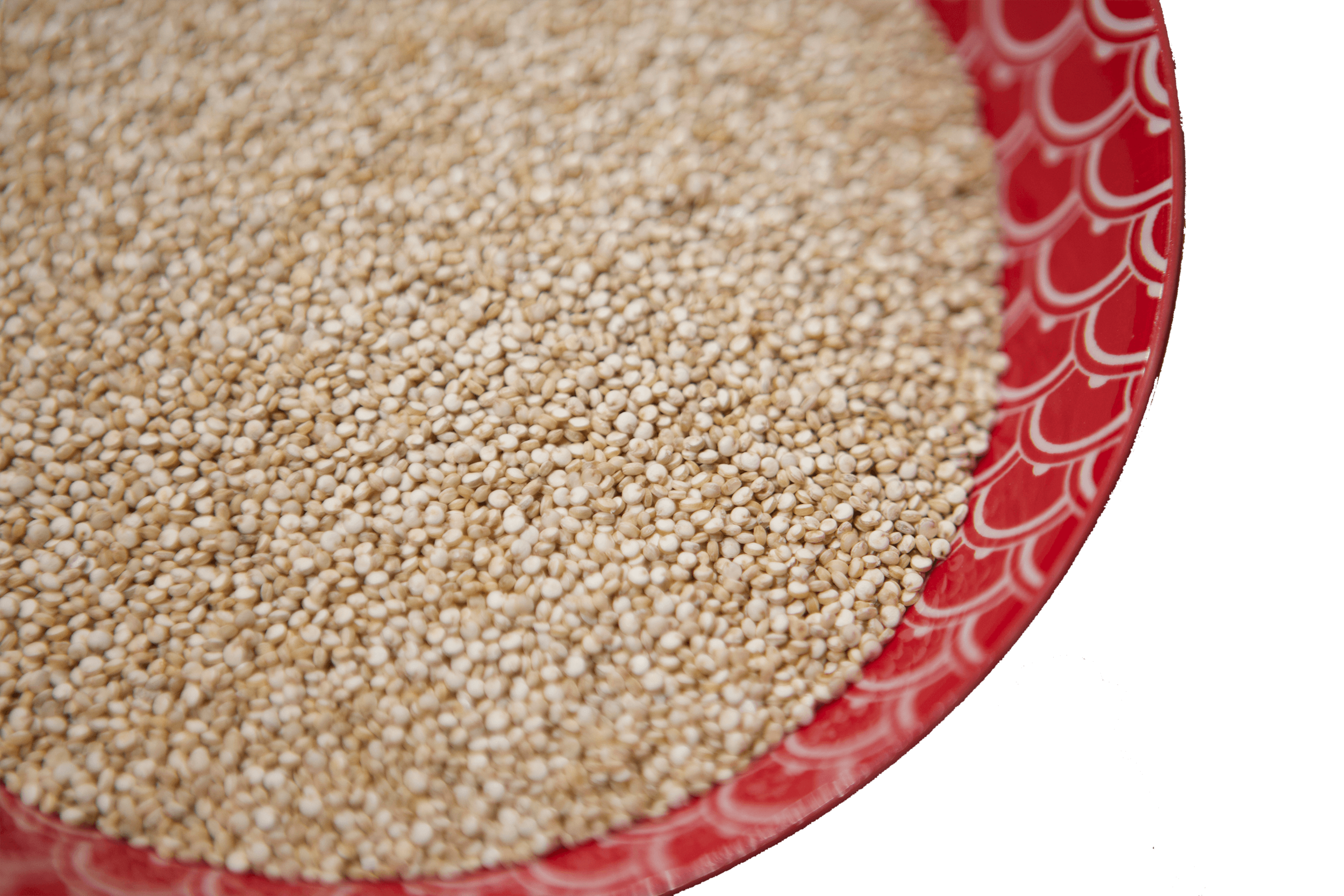 ¿Quién es la Madre de todos los granos?  Si no has oido hablar de ella, te la presento: LA QUINOA