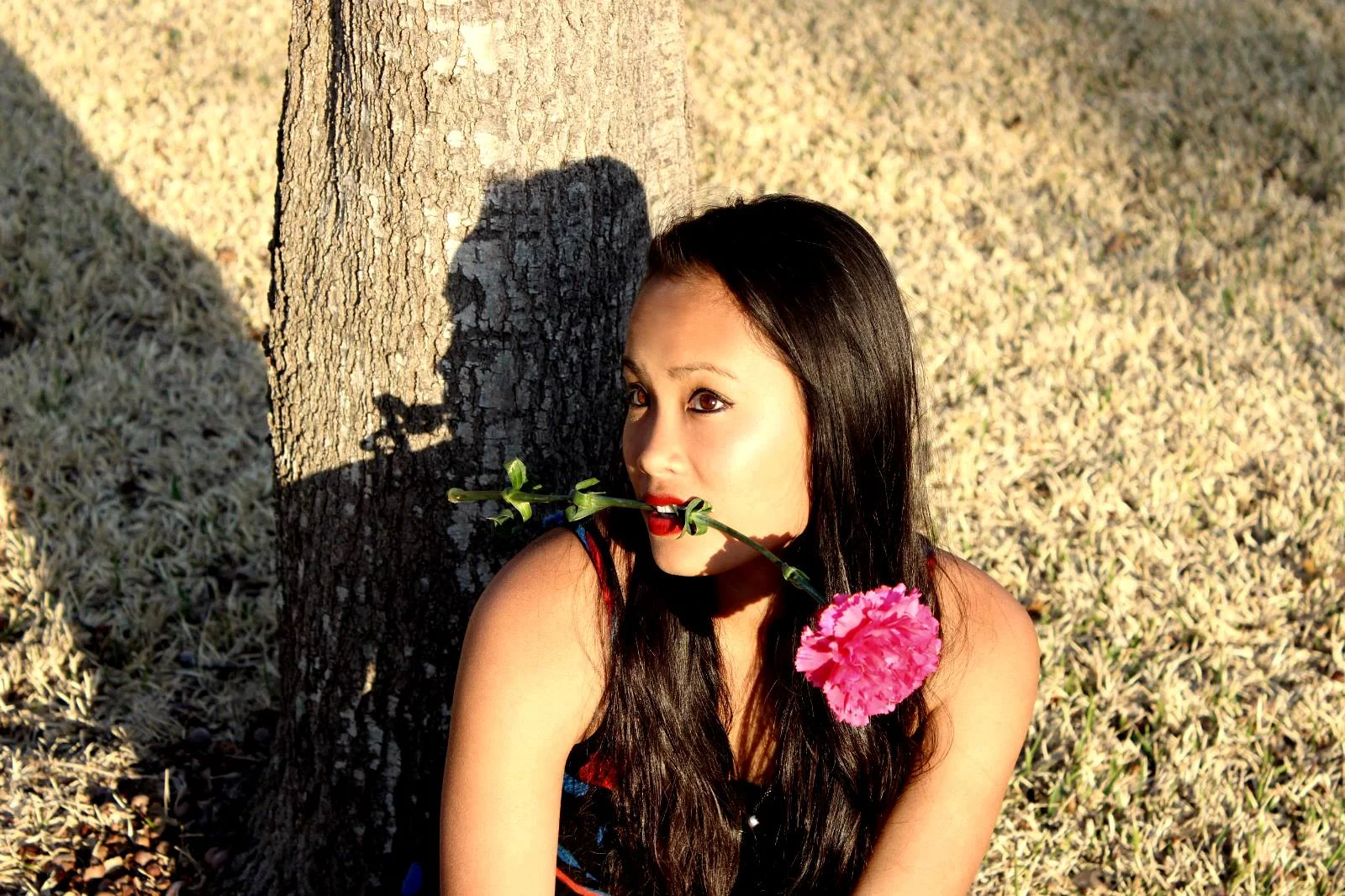 Alexis, 2015