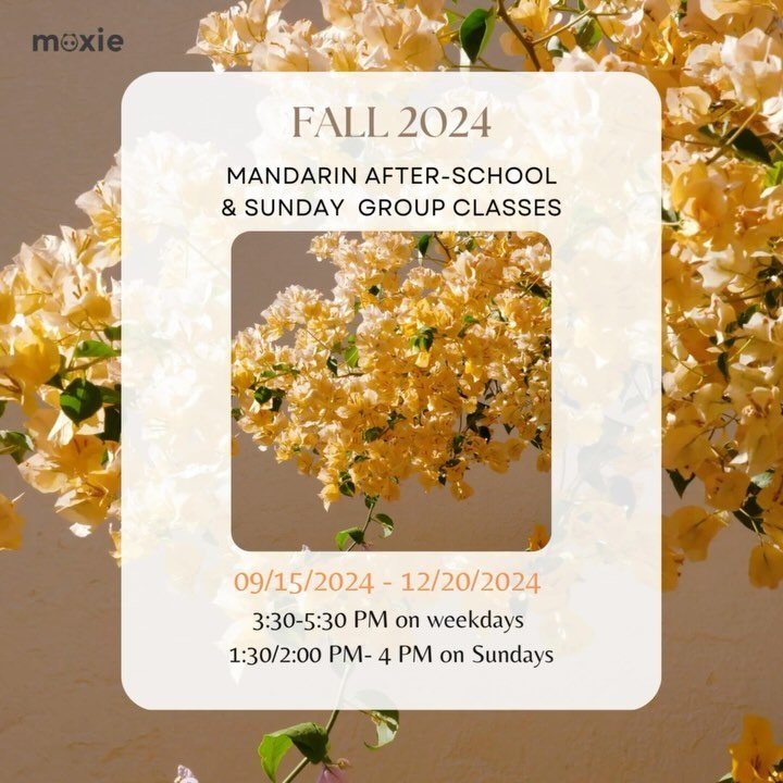 🍁 Ready to dive into a world of fun and learning this Fall? Join our after-school and weekend Mandarin group classes, where children aged 3 and up get to explore the language through engaging stories, creative projects, and interactive activities! 
