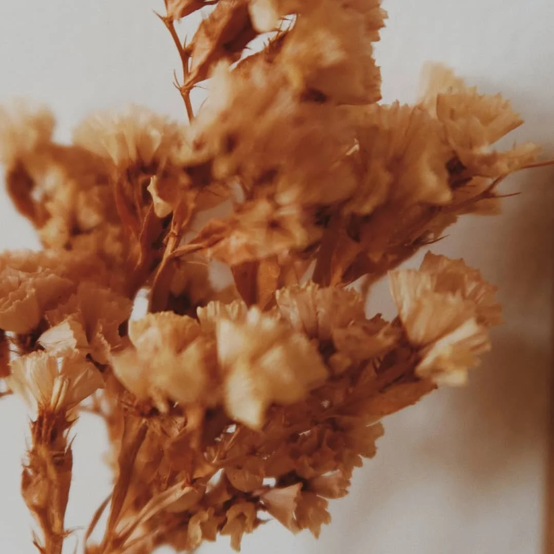 QOTD: Flea markets or vintage stores?
.
Even since visiting the vintage store inside an old theatre house in the countryside, I am in love with thrift stores
.
#cozymorning #cozydayin #cozydetails #cozyminimalist #floralaesthetic #driedflowers #cozya