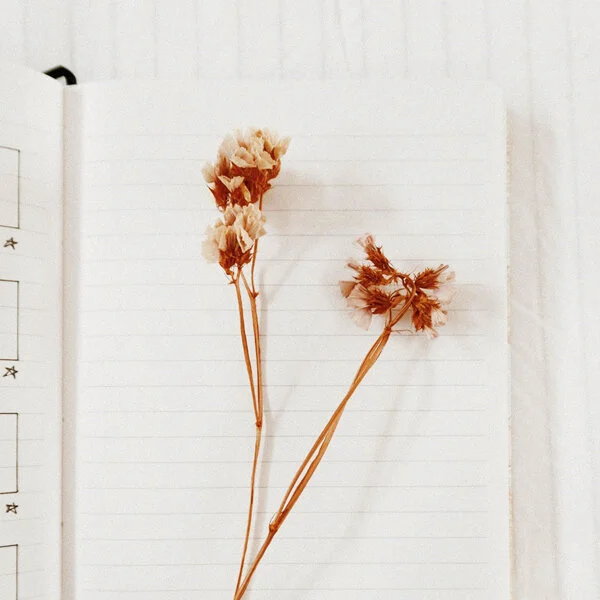 Page Ideas For A Daily Journal