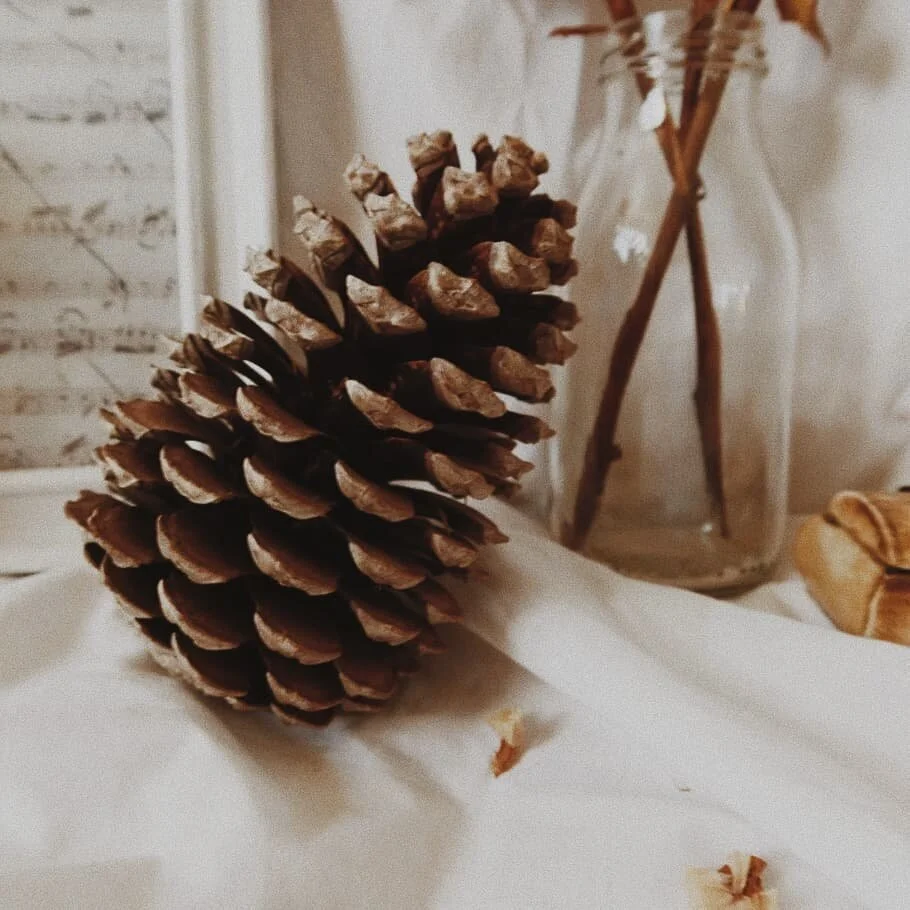 QOTD: Do you prefer museums or art galleries?
.
I love my city's museum. It's far, far away up on this hill and its surrounded by so much grass...and A little way down the road there's these botanical gardens. The museum itself hasn't changed in like