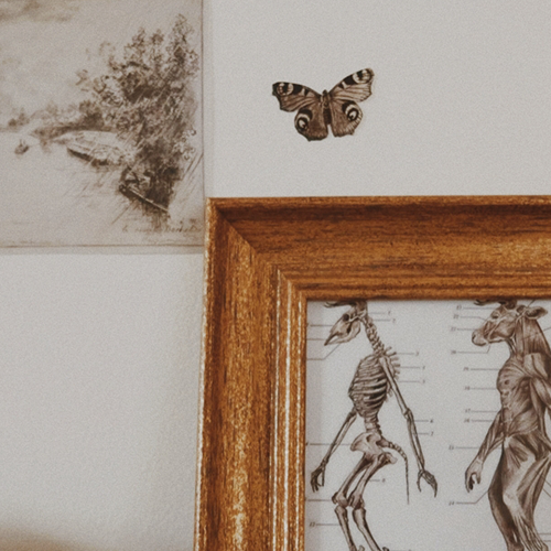 Playlist: Dissecting Fairy Tale Creatures