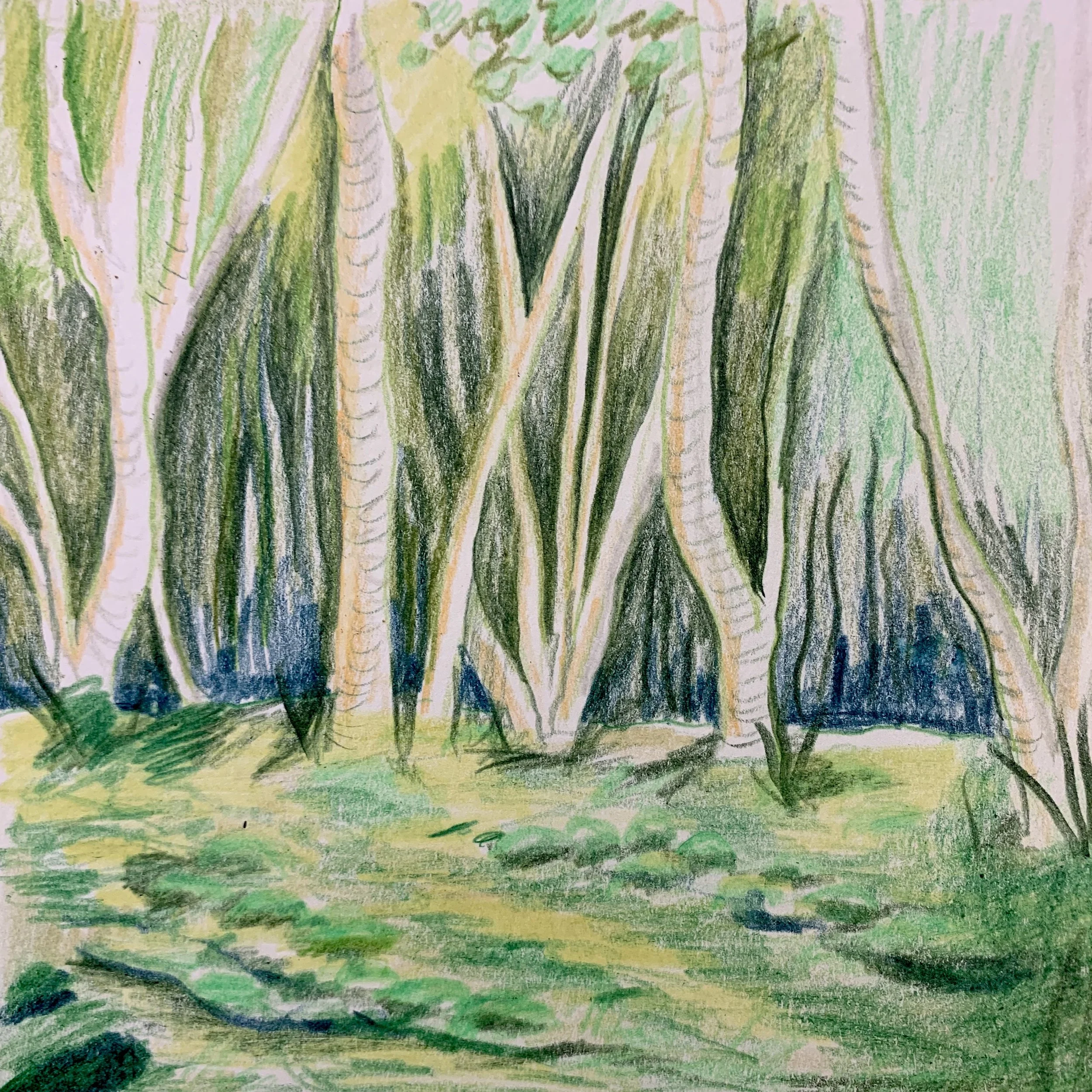 Art in the Face of Anxiety: The Calm Place