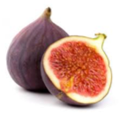 Fig 1.png