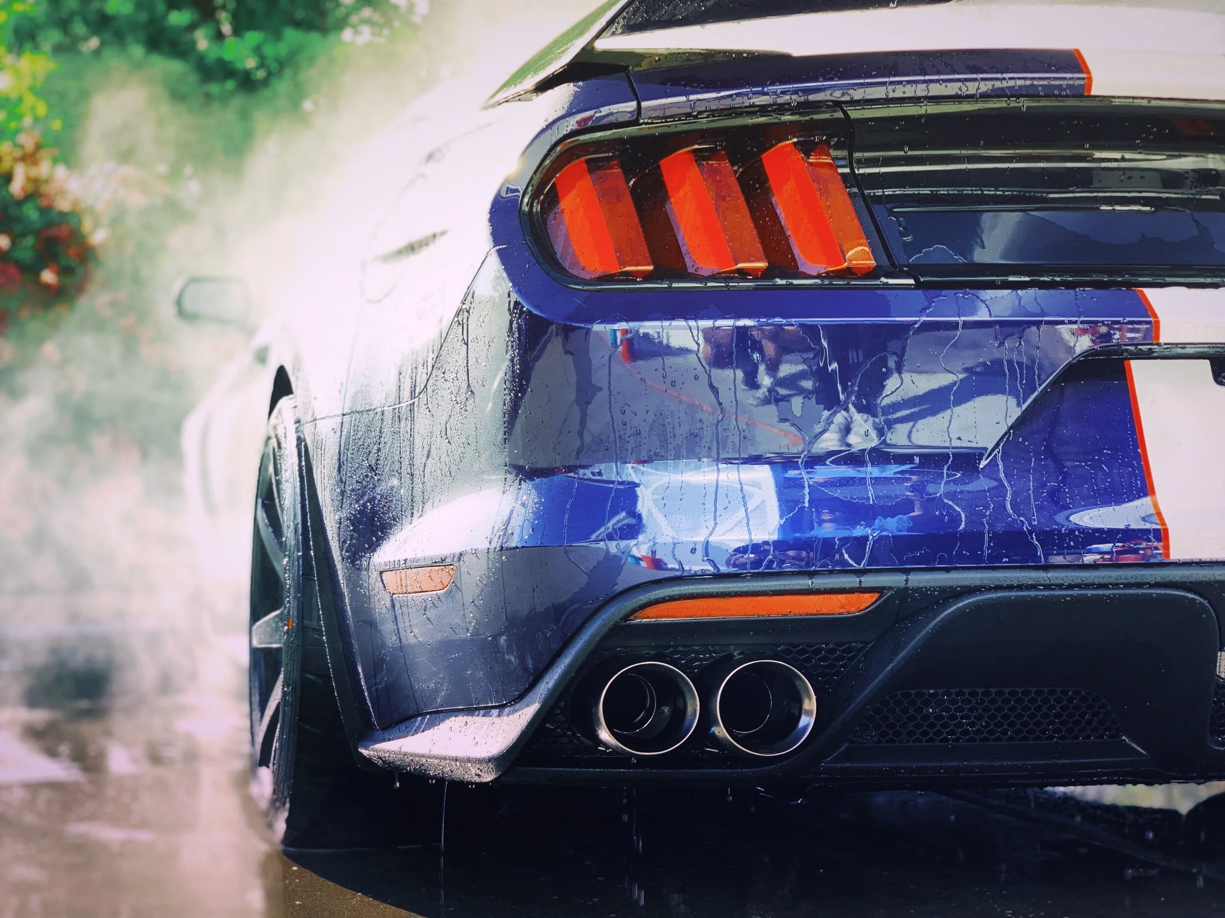 AfterlightImage 3.jpg