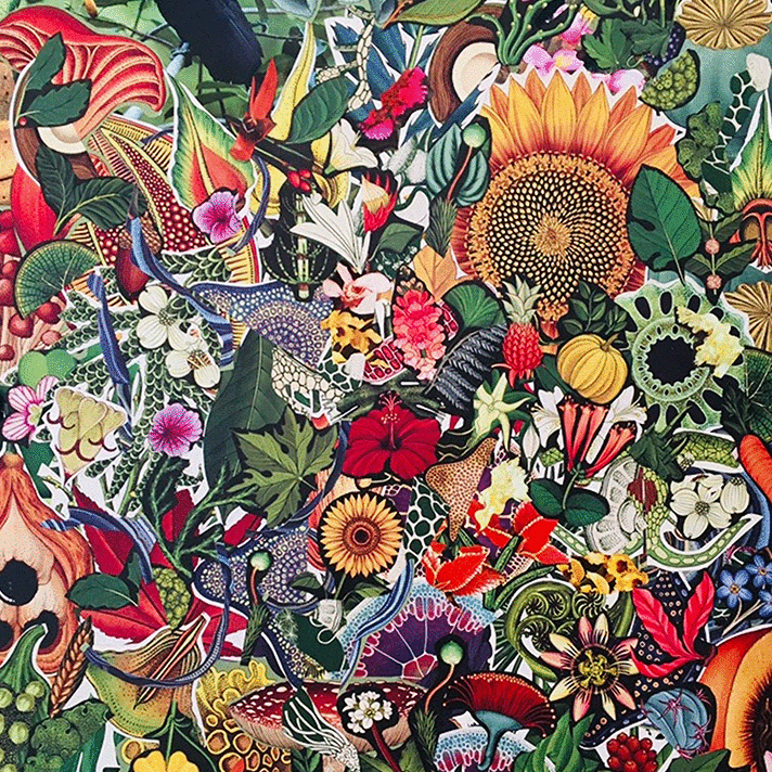 Beauty Through The Eyes Of Ryan Courtier