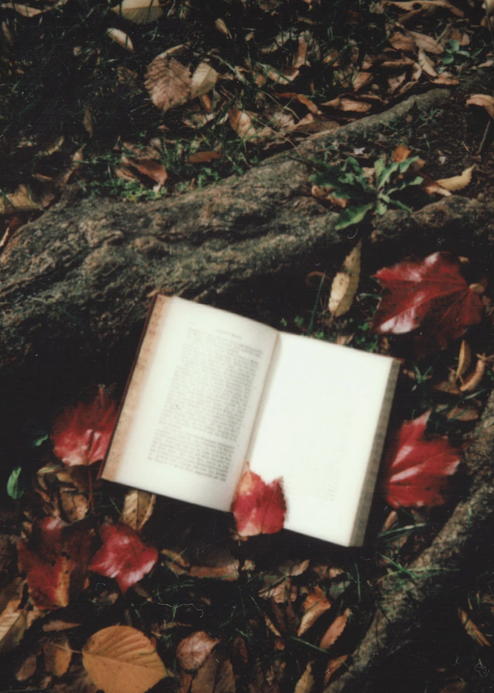 Book Club