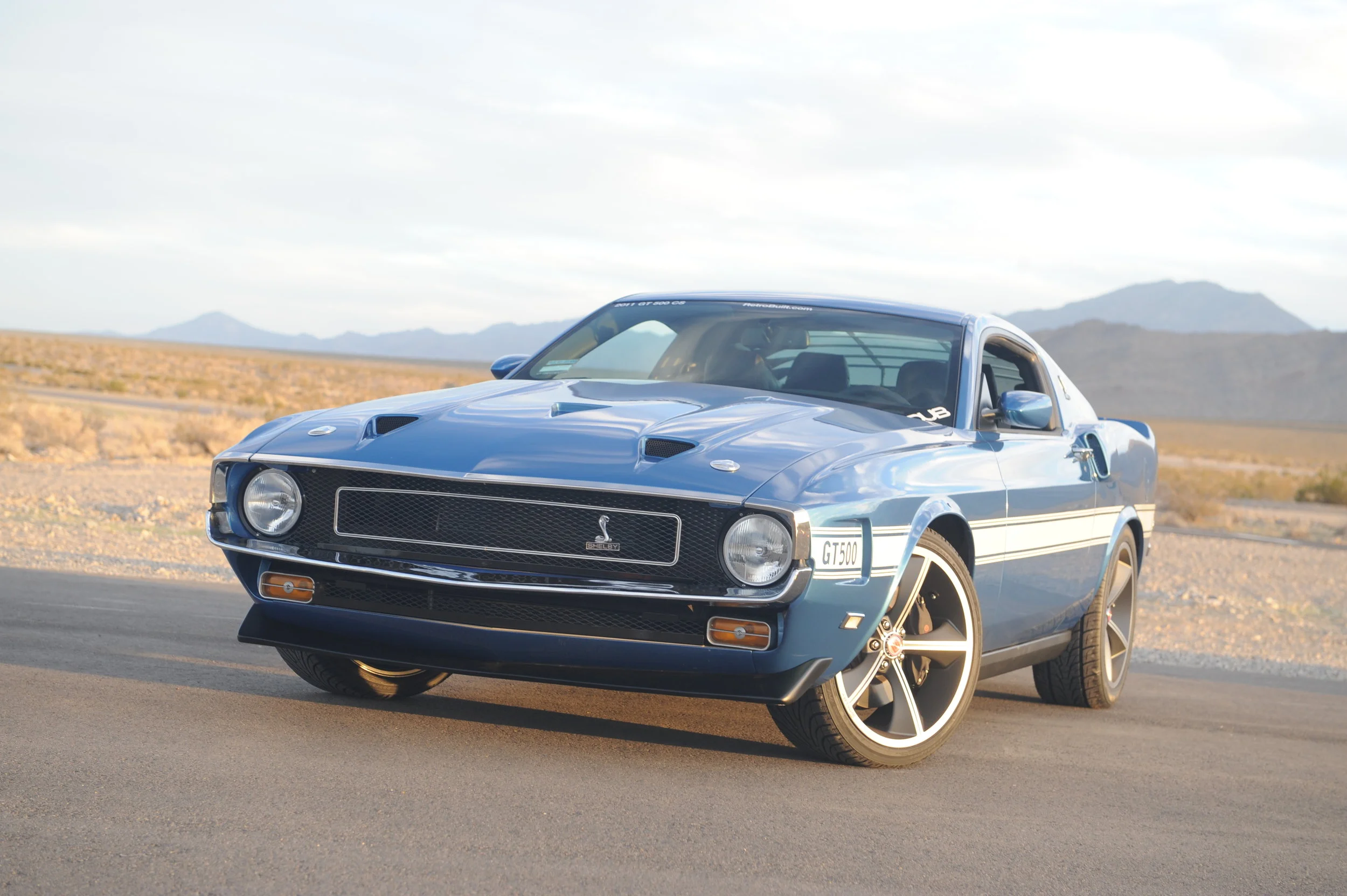 blue shlby front.jpg