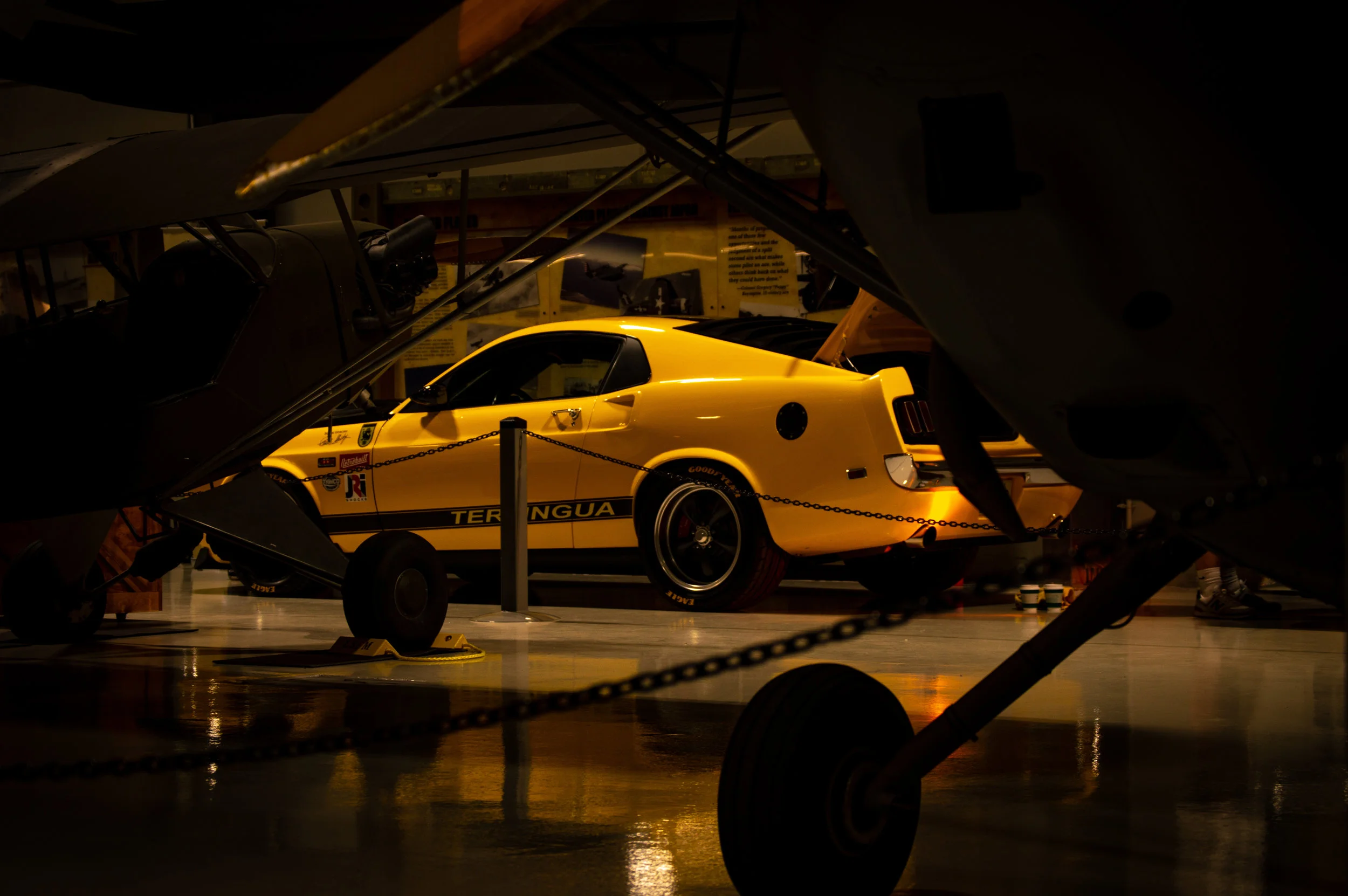 DSC_0028 (2).jpg