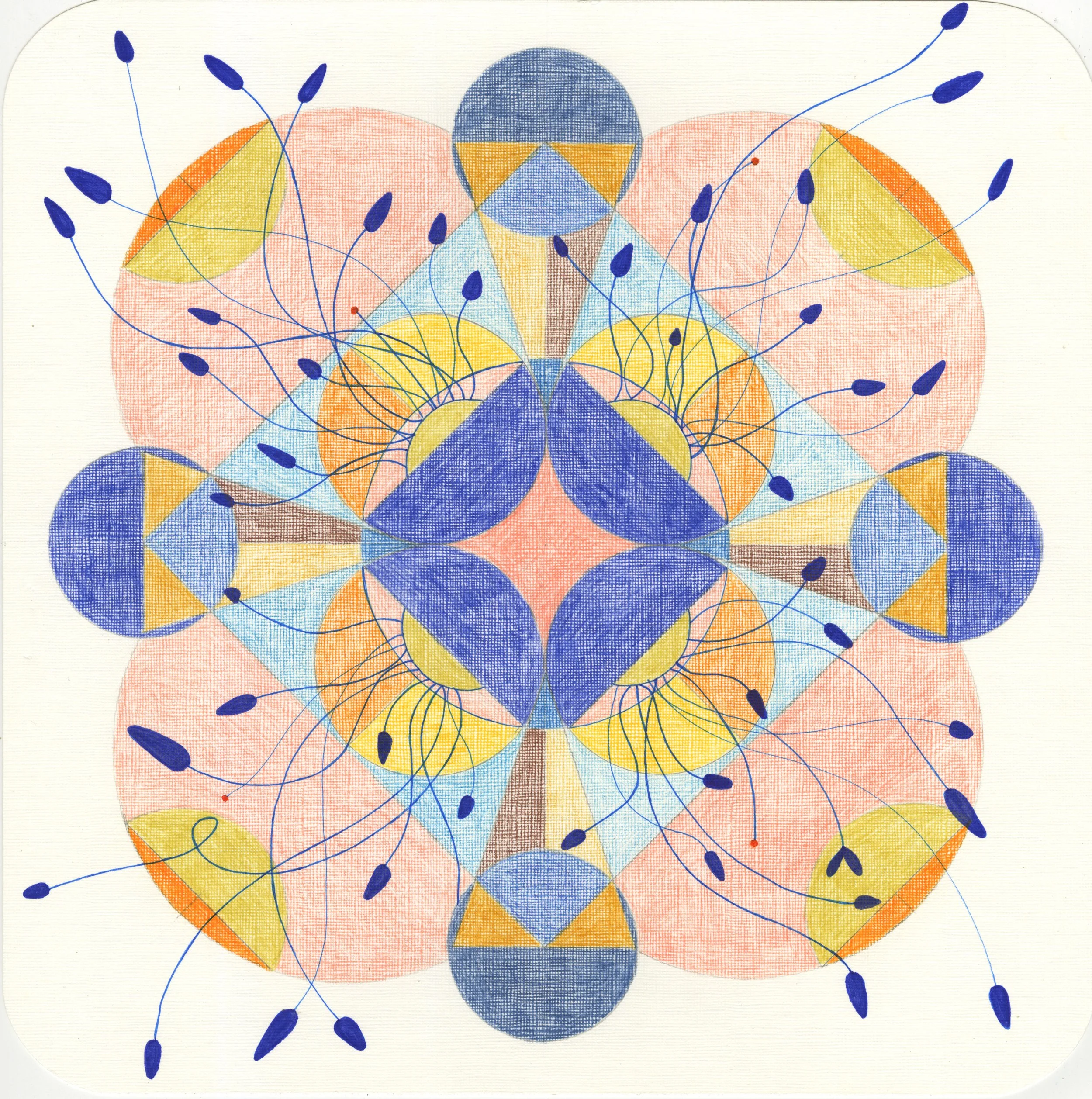 jess- nucleus.jpg