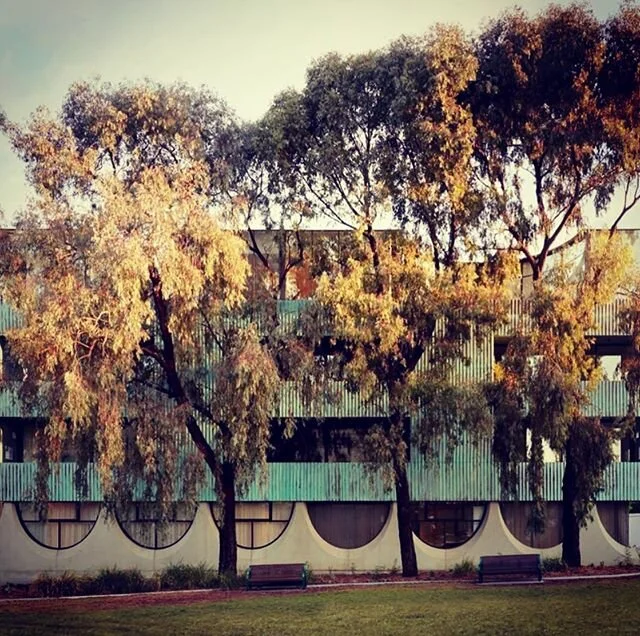 Award winning apartment project we completed recently @visioneerbuilders @teschelectricsptyltd #apartmentliving #architecture #electrician #architecturephotography #architectureaustralia