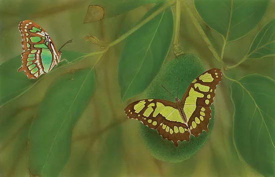 Malachite Cho Collection