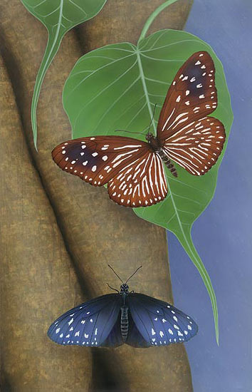 Striped Blue Crow Cho Collection