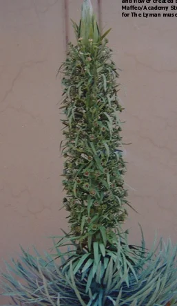 silversword_model-text.jpg