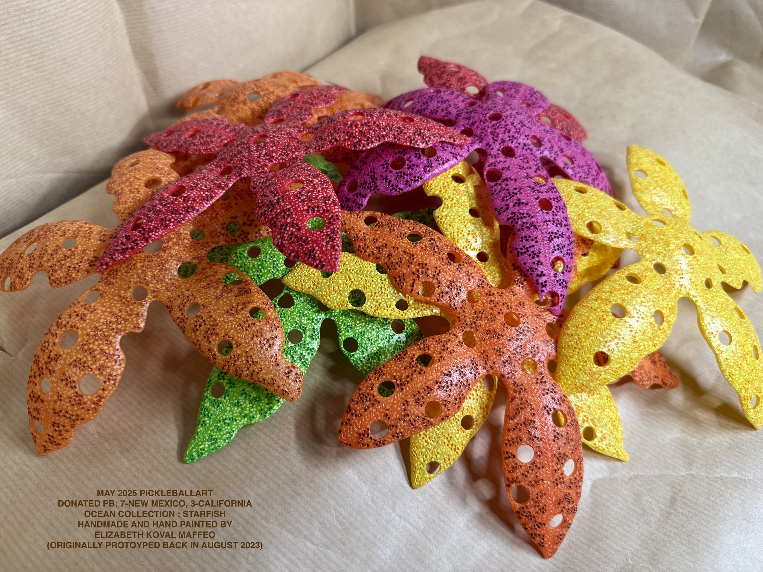 10- STARFISH_2025_14.jpeg