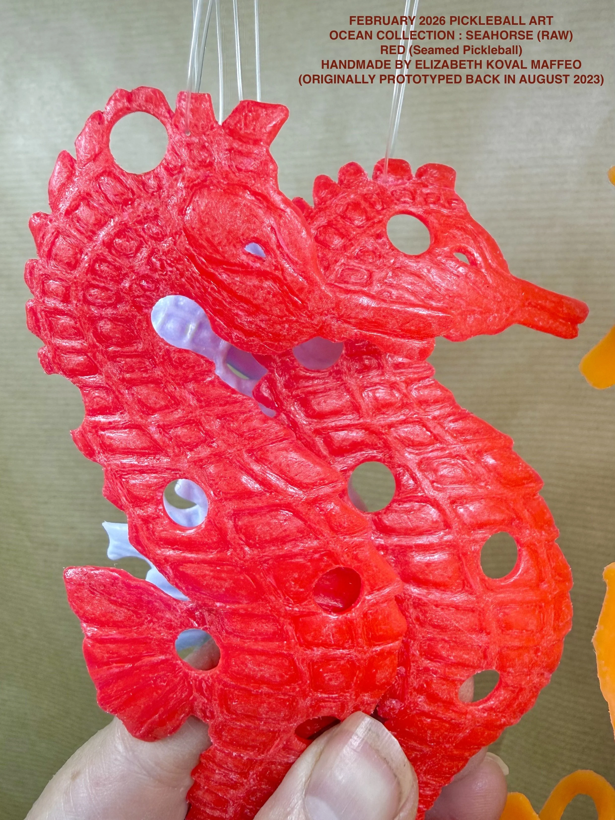 RAW_PB_SEAHORSE_closeup_RED2.jpeg
