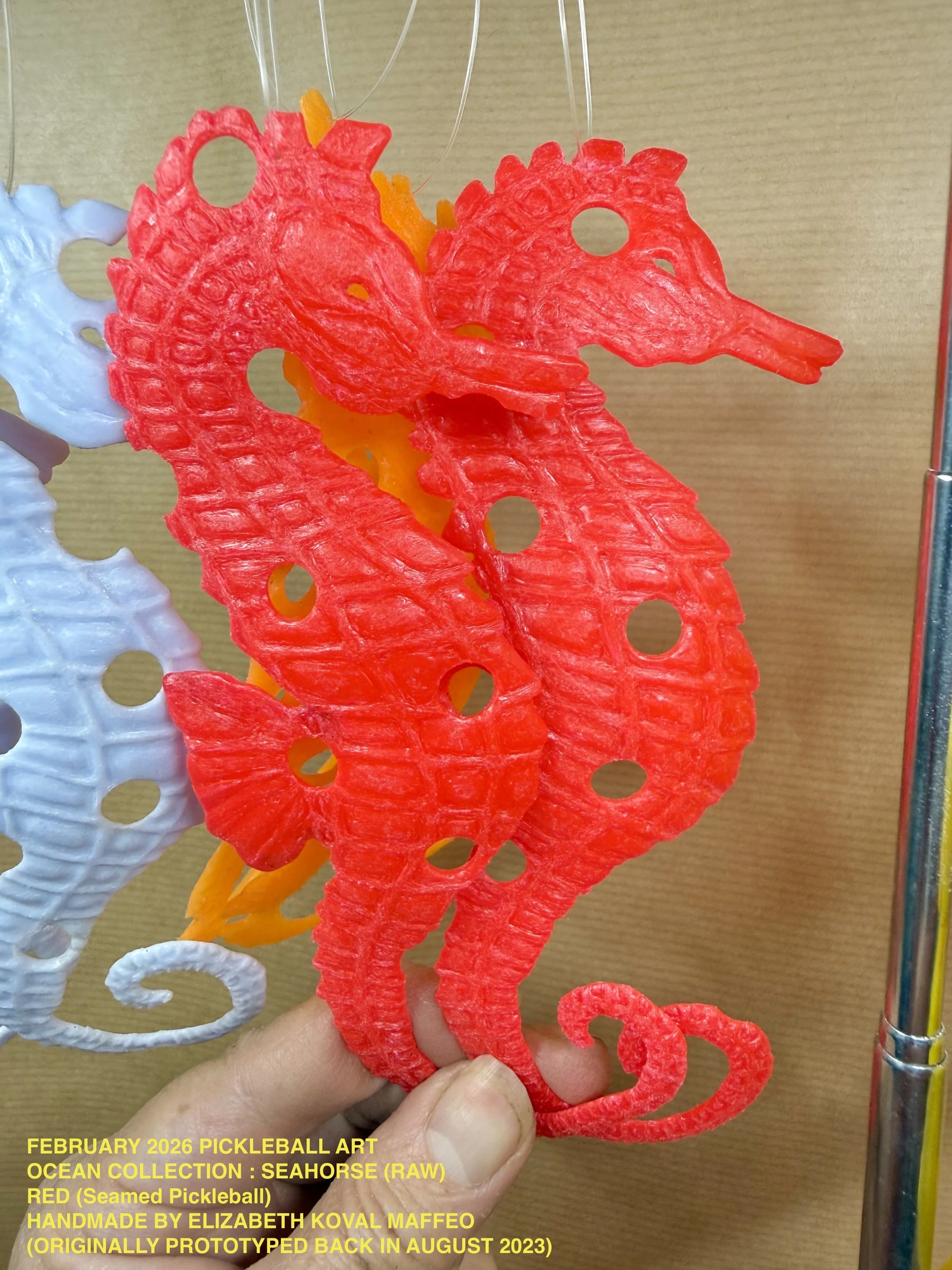 RAW_PB_SEAHORSE_closeup_RED1.jpeg