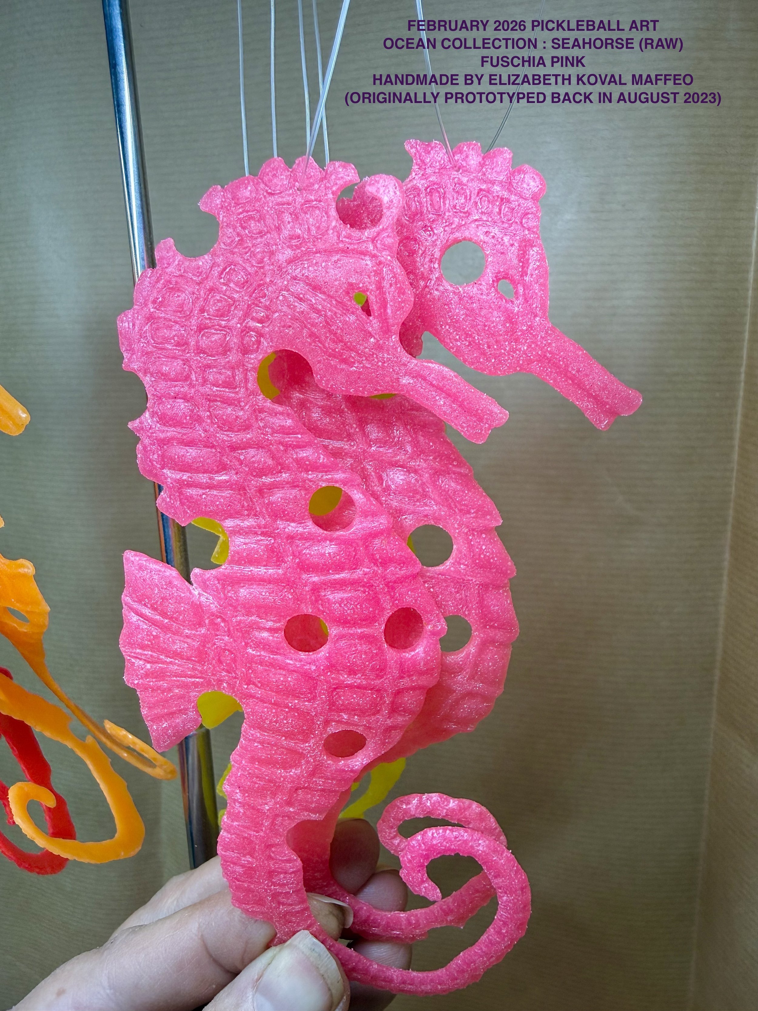 RAW_PB_SEAHORSE_closeup_FP2.jpeg