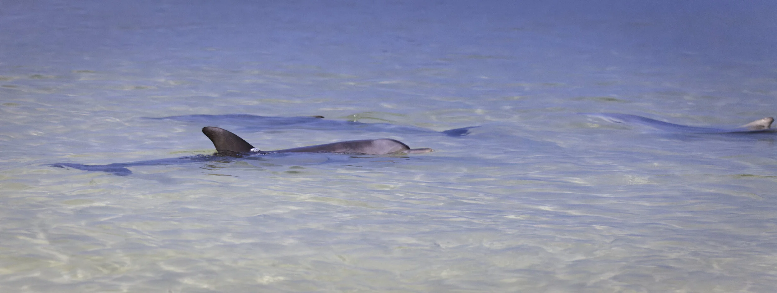 HOL Moreton Island 20201230@190410-0468.jpg