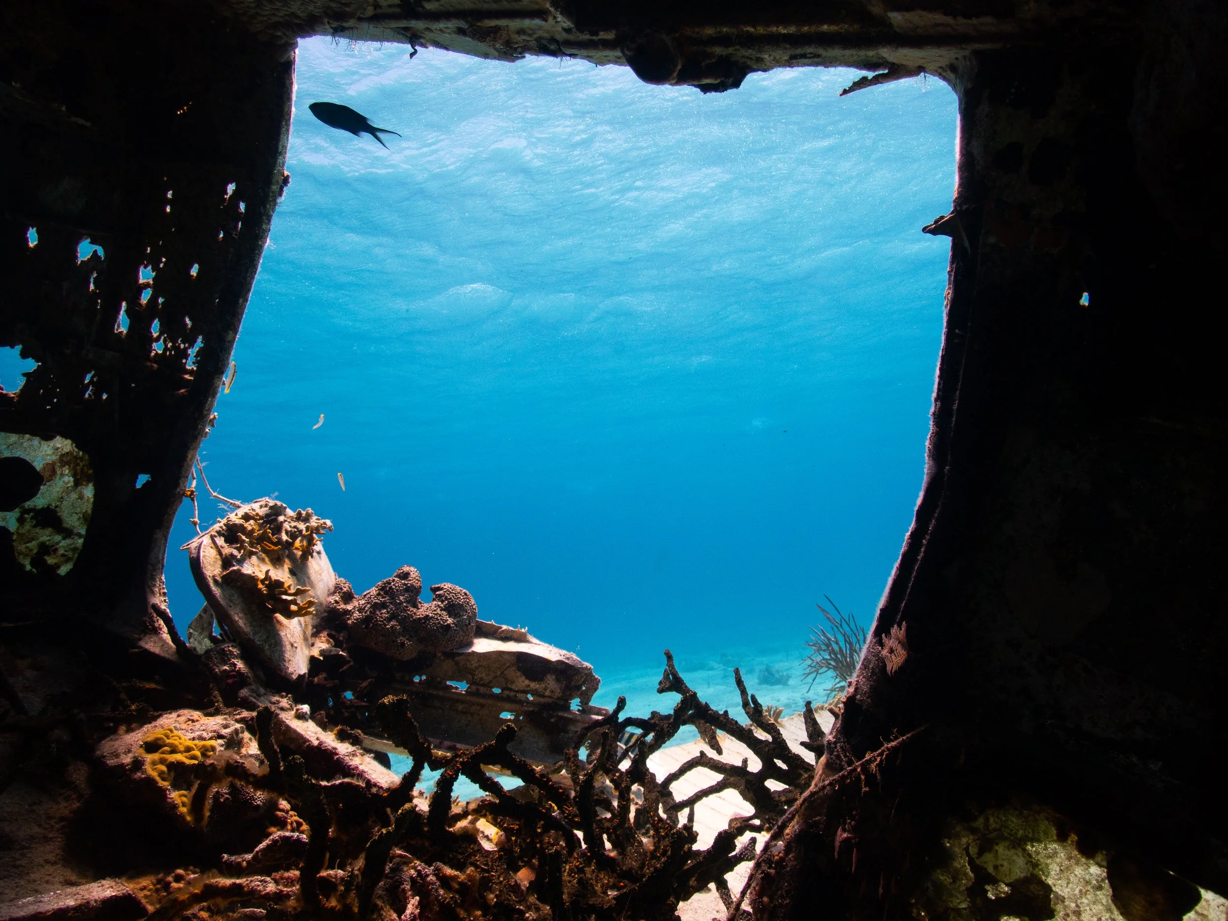 Exuma Adventures-3230049.jpg