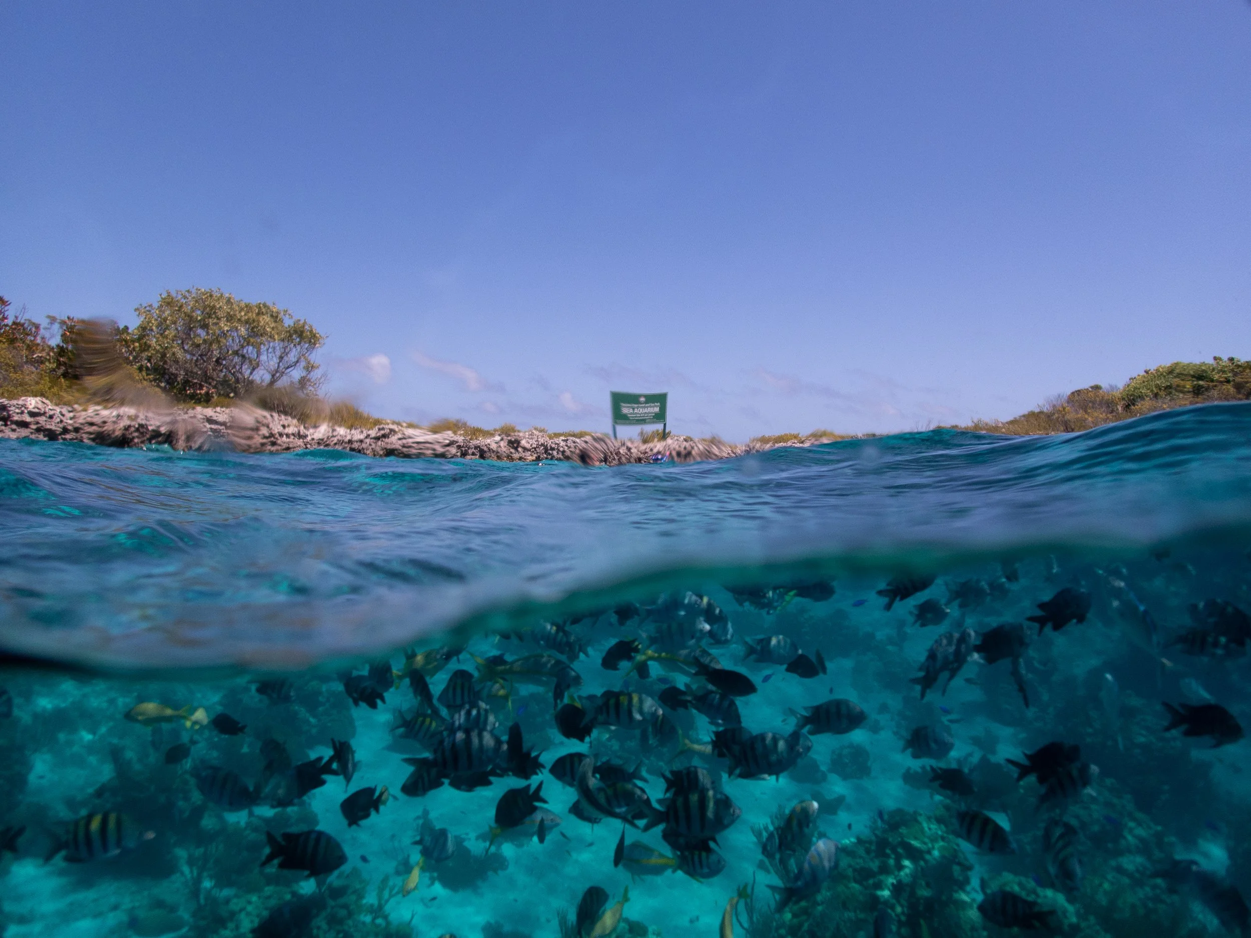 Exuma Adventures-3230117.jpg