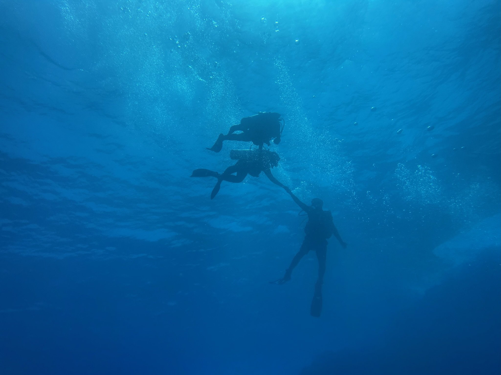 SportDiver_20230607_100646.jpg