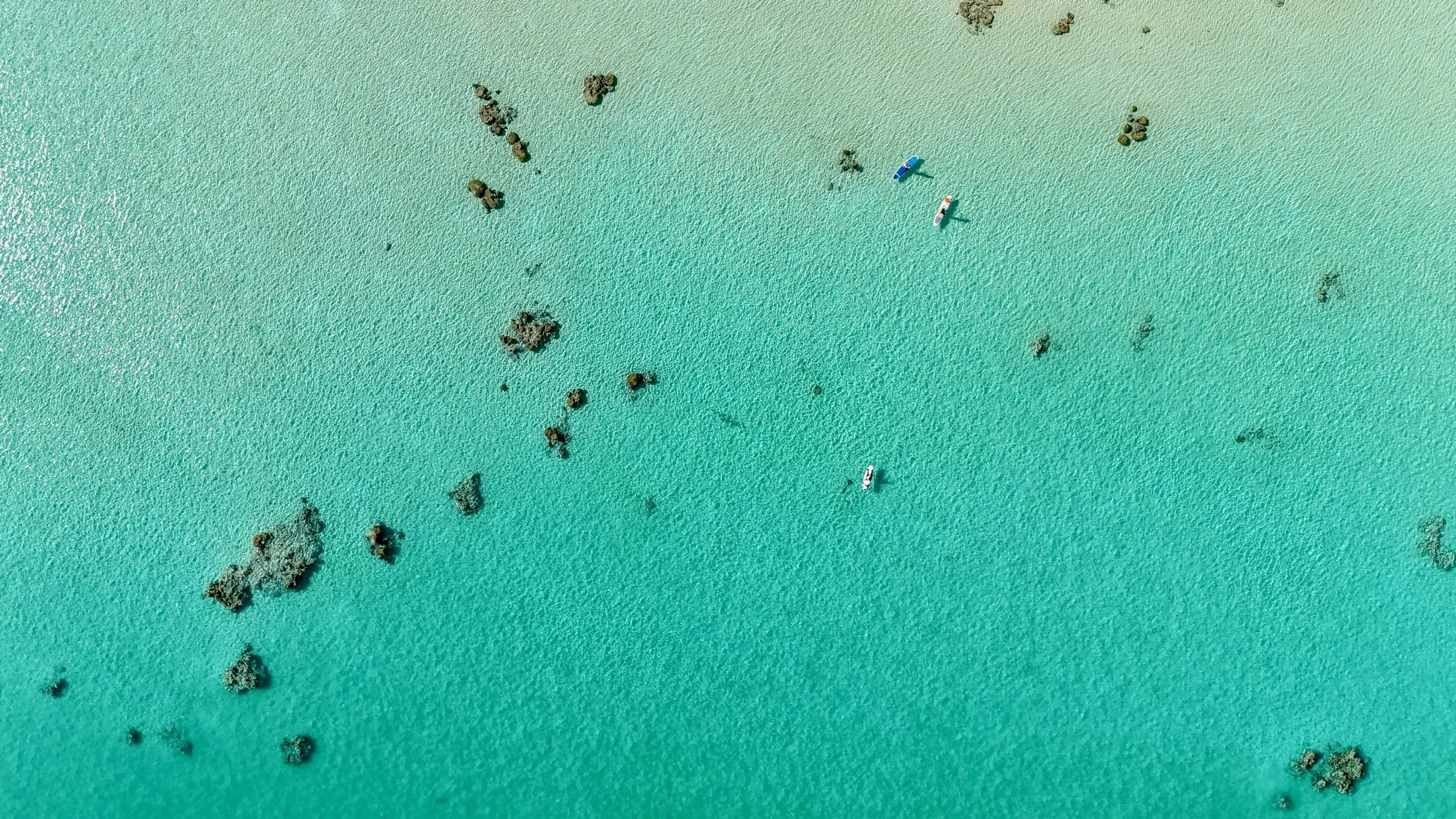 dji_fly_20240522_143406_0034_1716431228141_photo.jpg