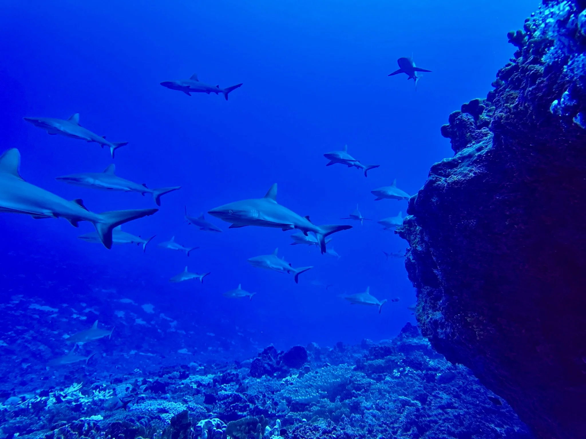 SportDiver_20240519_090318.jpg