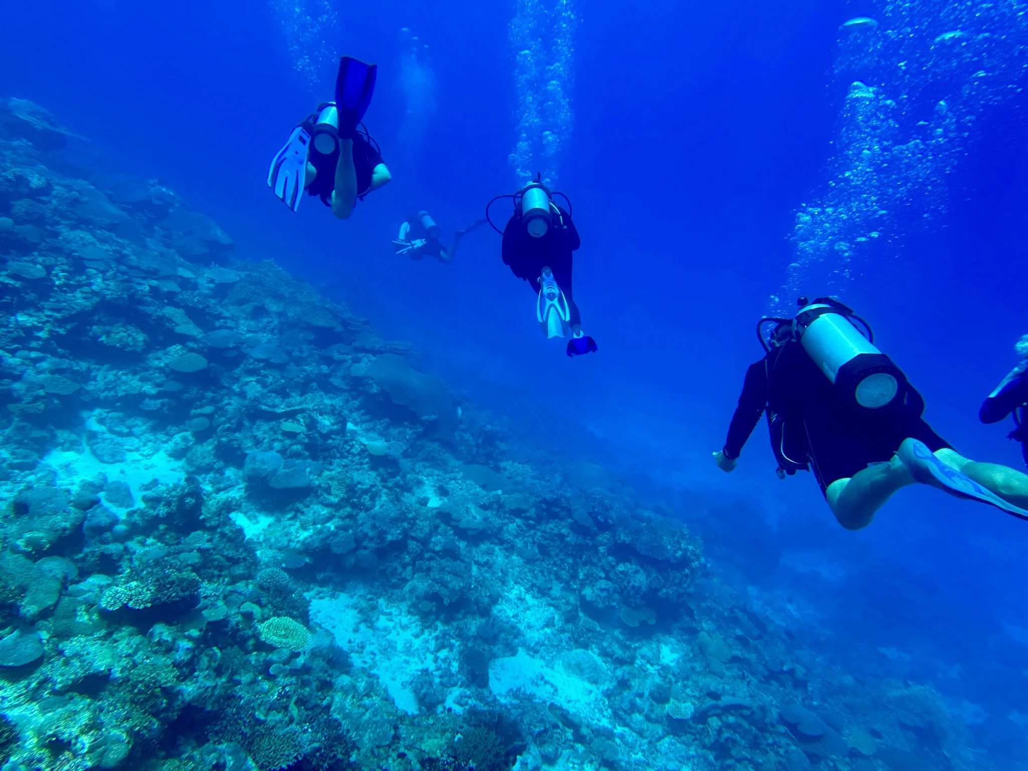 SportDiver_20250801_114028.jpg