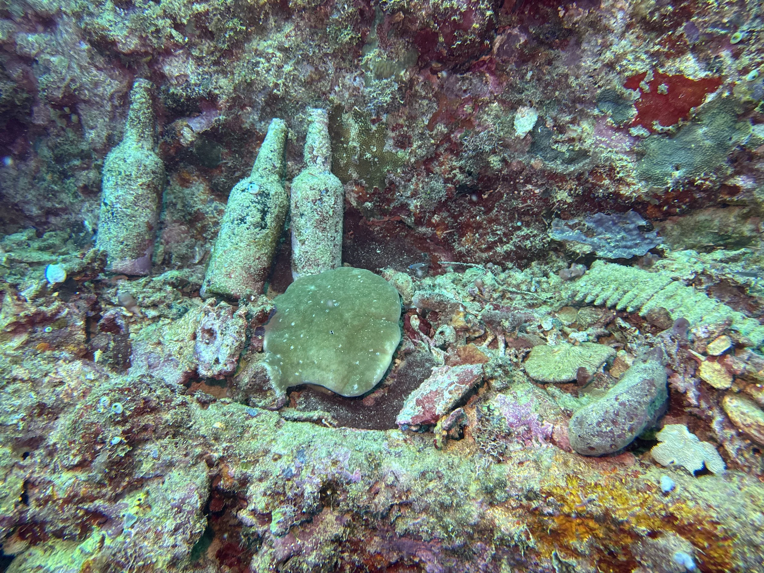 SportDiver_20250907_111524.JPG