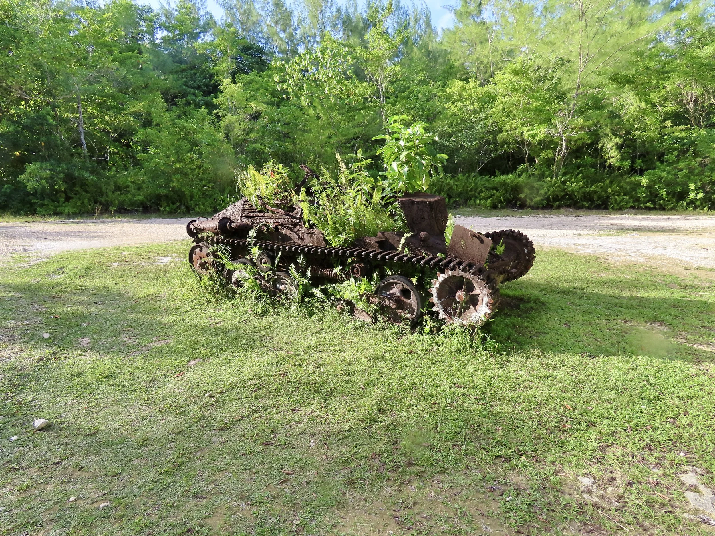 IMG_8544.JPG