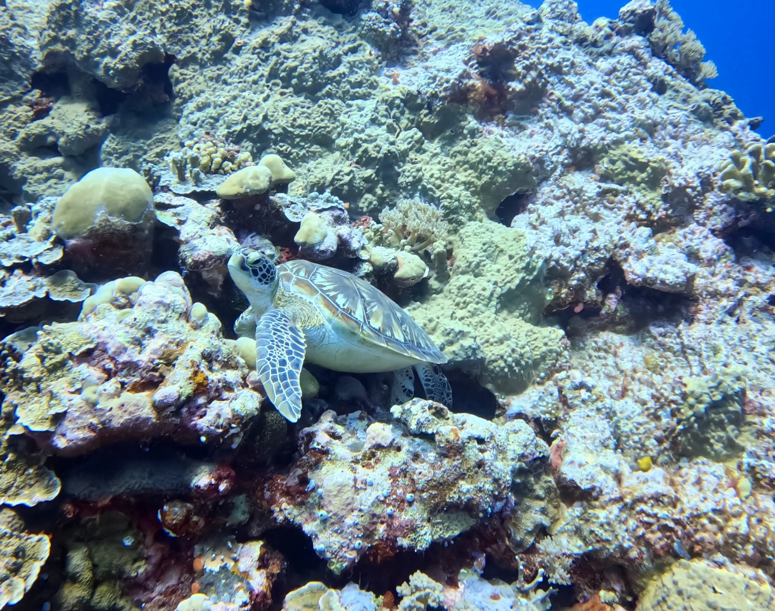 GOPR0481.JPG