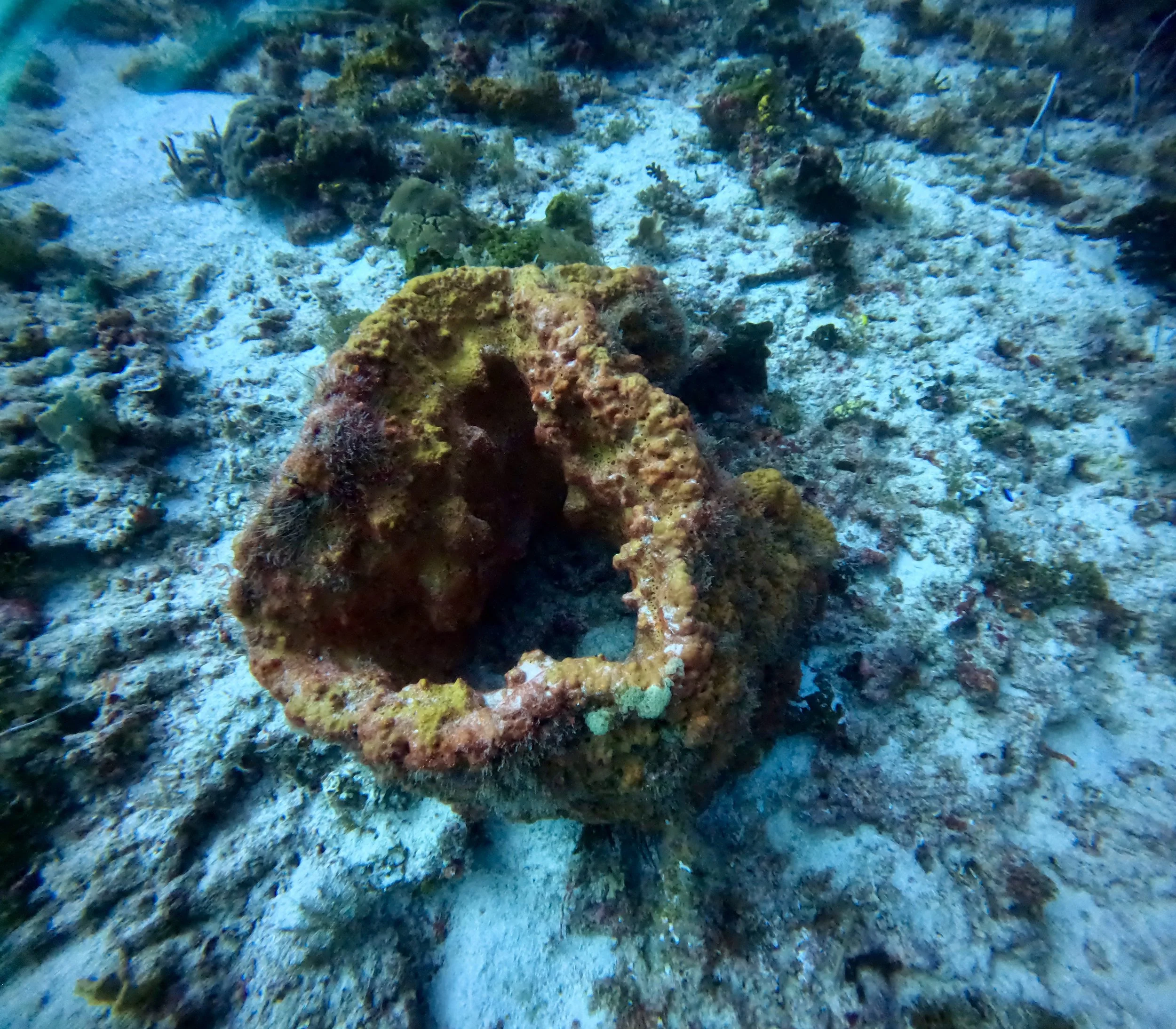 GOPR1096.JPG