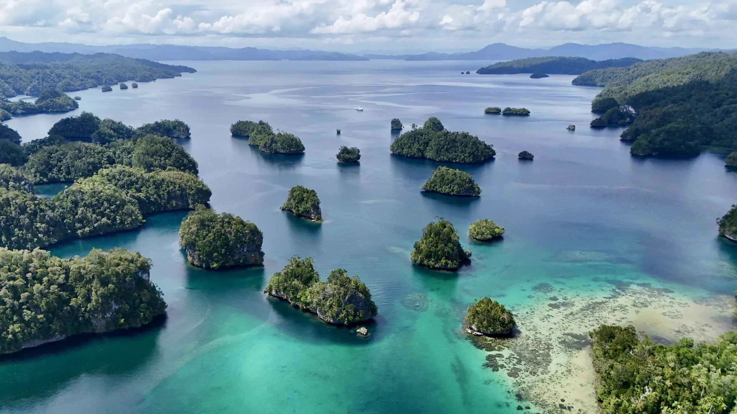 Raja Ampat - June 2026
