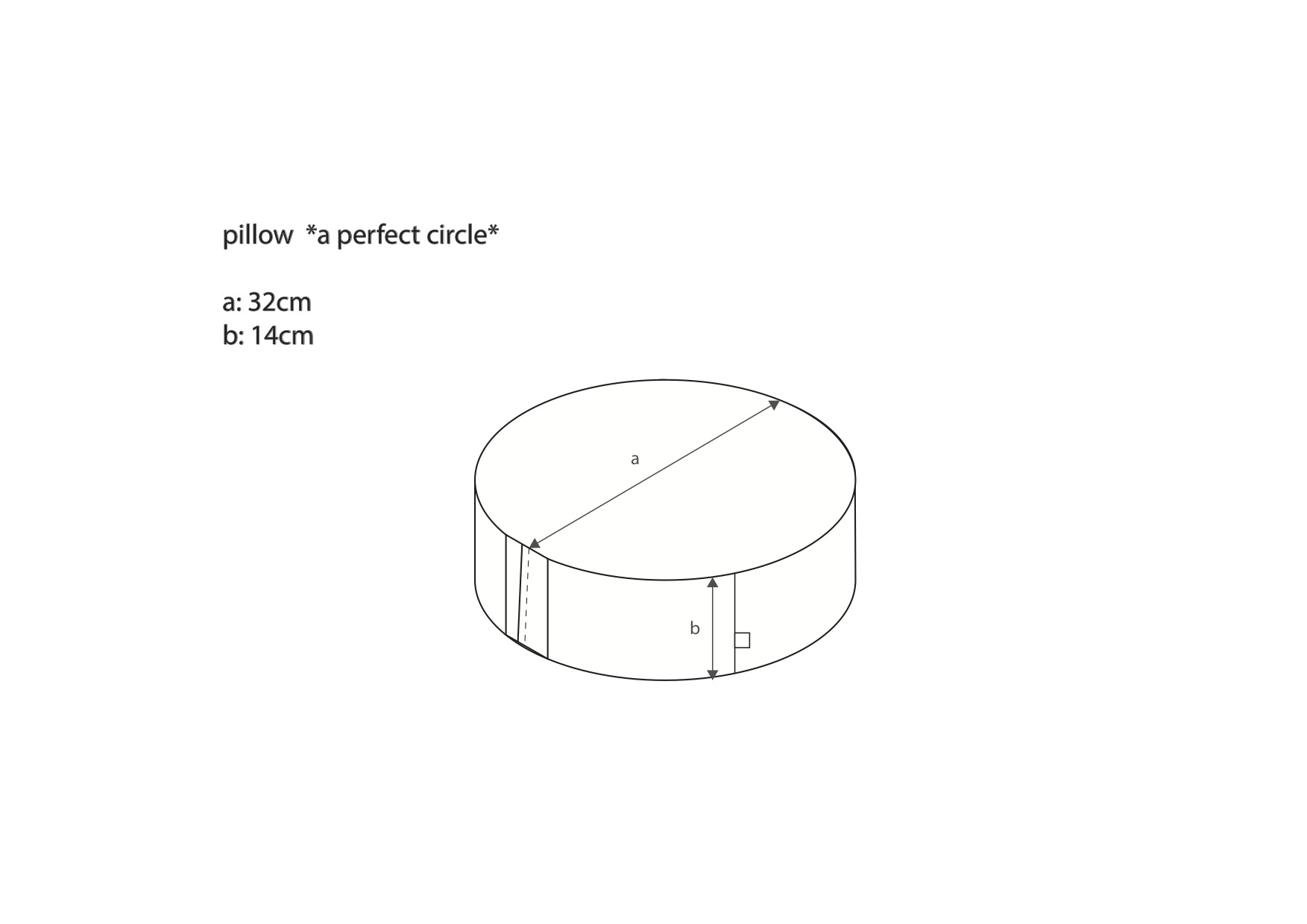 twists and turns pillow a perfect circle.png