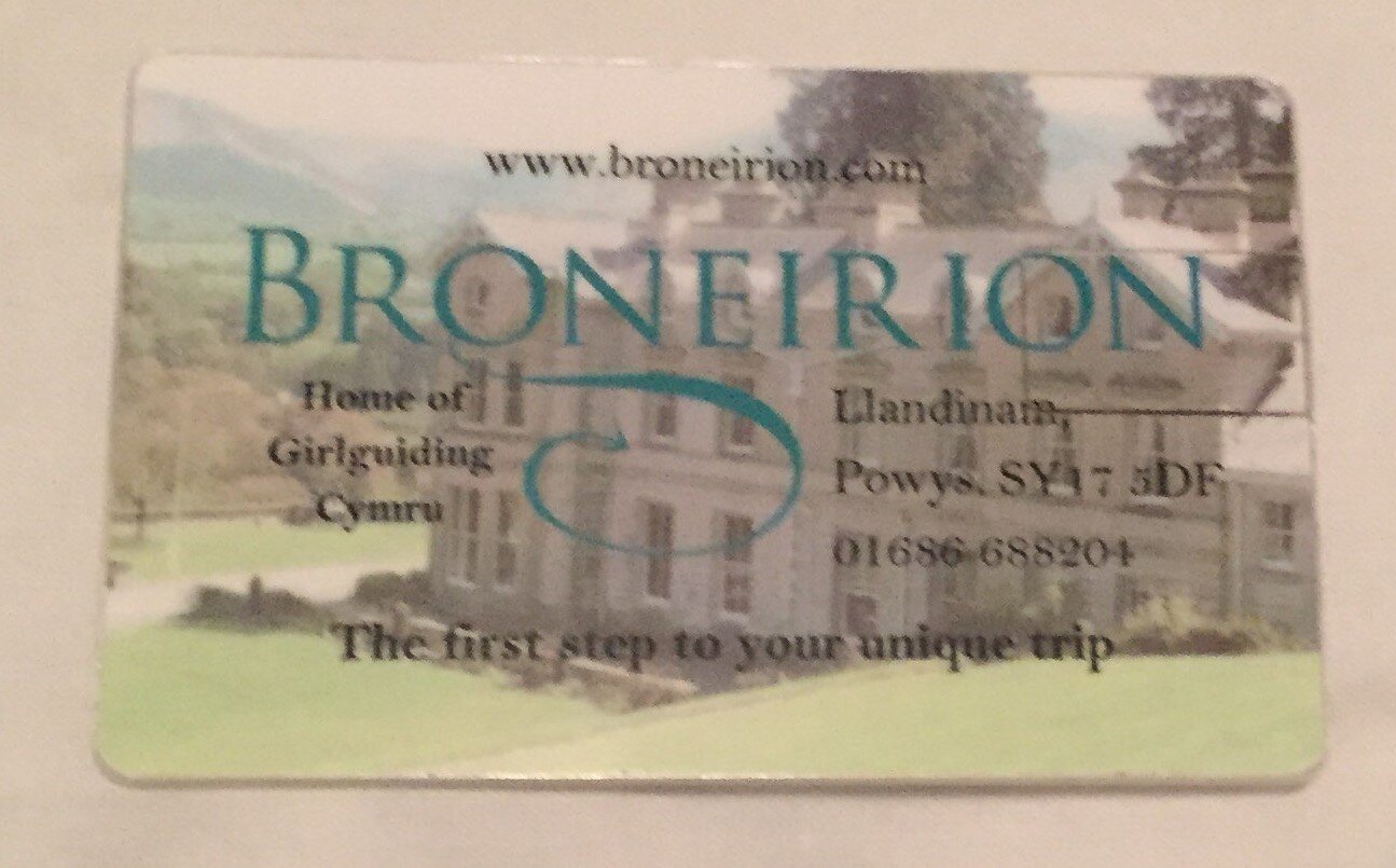 Broneirion 2GB Memory Card