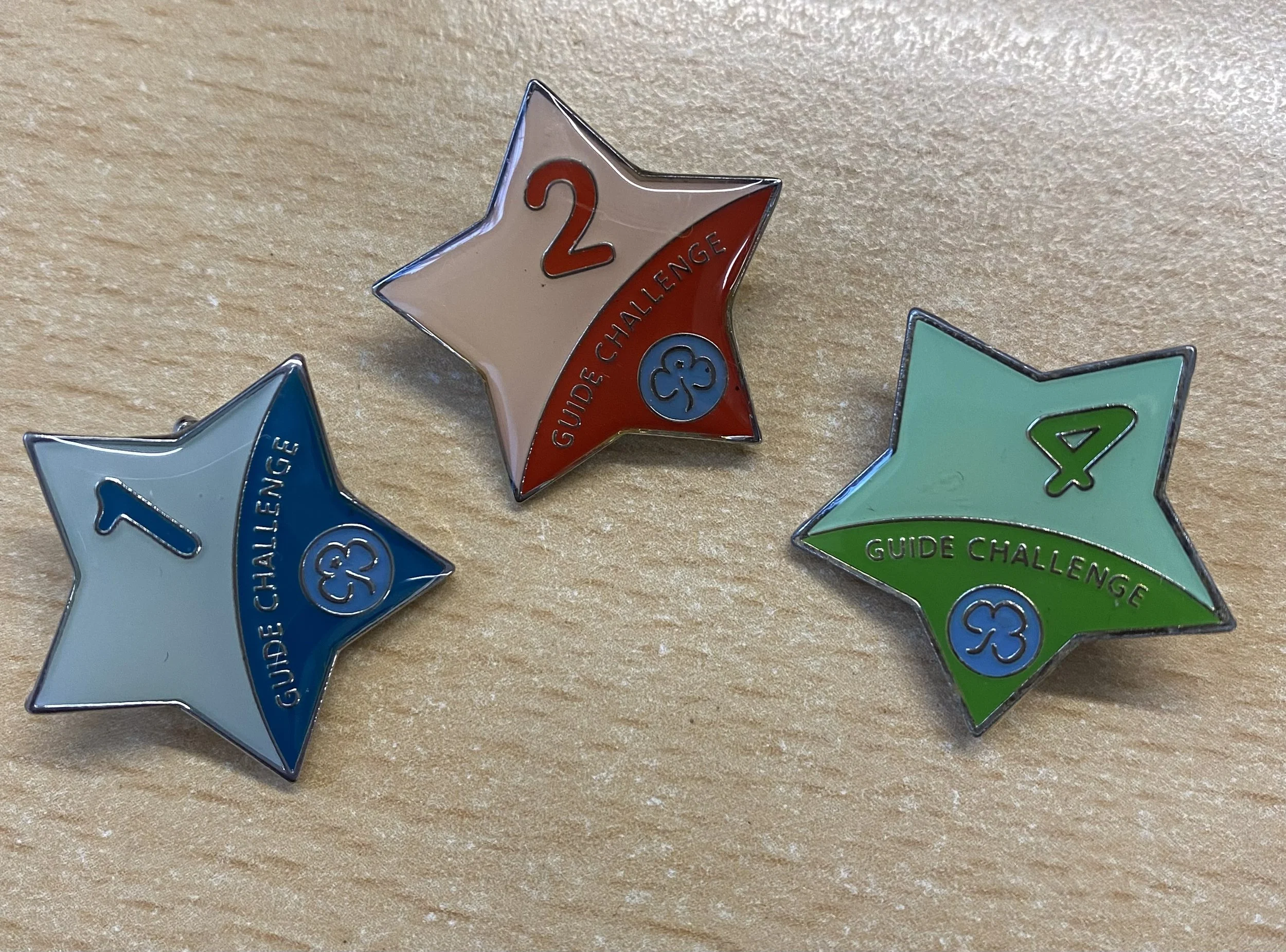 guide badges.jpeg