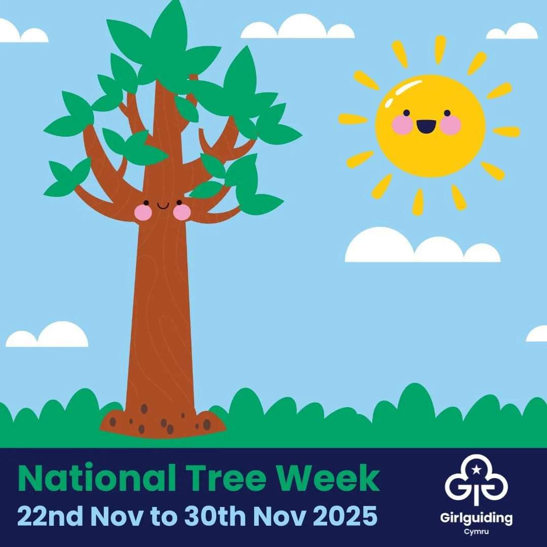 🌳 Happy National Tree Week from Girlguiding Cymru! 🌳

This week, we&rsquo;re celebrating the incredible power of trees. 

Whether planting a sapling, exploring local woodlands, or completing nature-themed activities, our girls discover how small ac